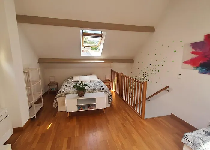 Des Bruyeres A Coye-la-Forêt